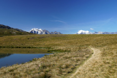 DSC07166