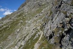 DSC07233