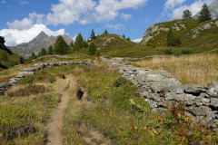 DSC07255
