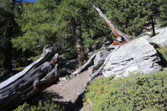 DSCN5189