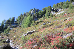 DSCN5192