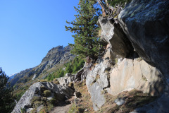 DSCN5195