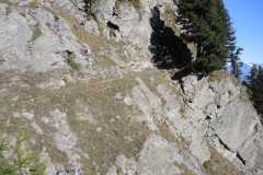 DSCN5205