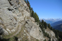 DSCN5208