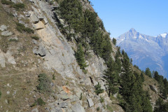 DSCN5212
