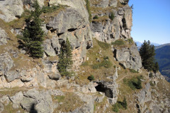 DSCN5229