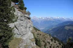 DSCN5234