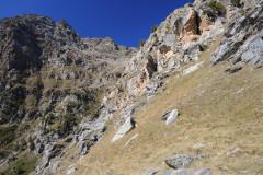 DSCN5237