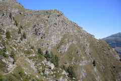DSCN5245