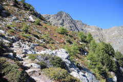 DSCN5251