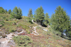DSCN5263