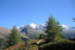 DSCN5265