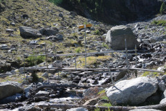 DSCN5269