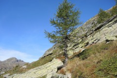 DSCN0189