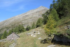 DSCN0197