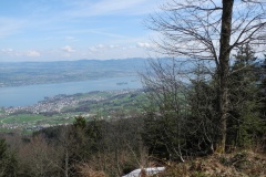 DSCN2441