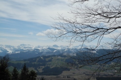 DSCN2449