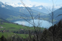 DSCN2456