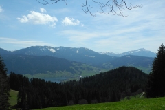 DSCN2458