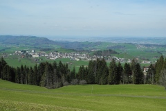DSCN2459