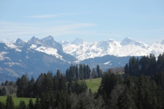 DSCN2462