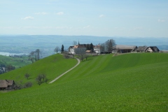 DSCN2465