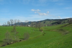 DSCN2467