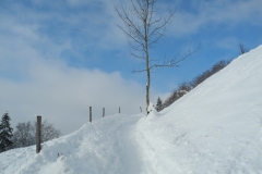 DSCN2210