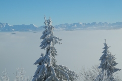 DSCN2238