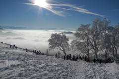 DSCN2253