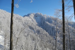 DSCN2268