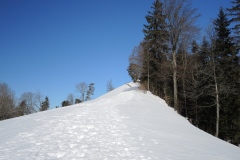 DSCN2529
