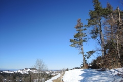 DSCN2530