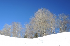DSCN2536