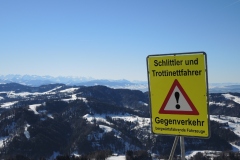 DSCN2538