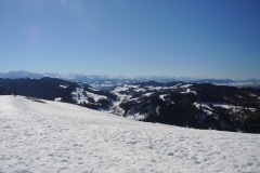 DSCN2541