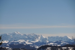 DSCN2554