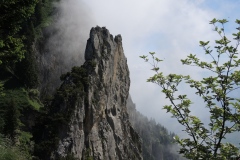 DSCN0797