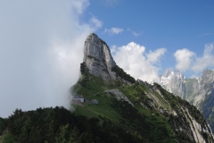 DSCN0801