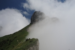 DSCN0806