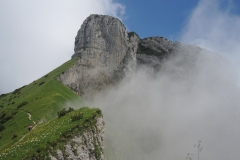 DSCN0807