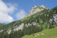 DSCN0830