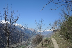 DSCN2650