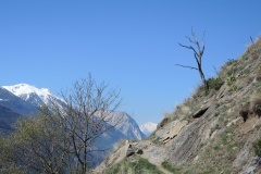 DSCN2652