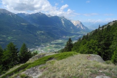 DSCN1874