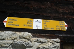 DSCN1875
