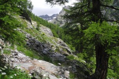 DSCN1887
