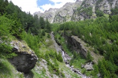 DSCN1894