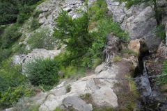 DSCN1896