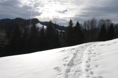 DSCN0443